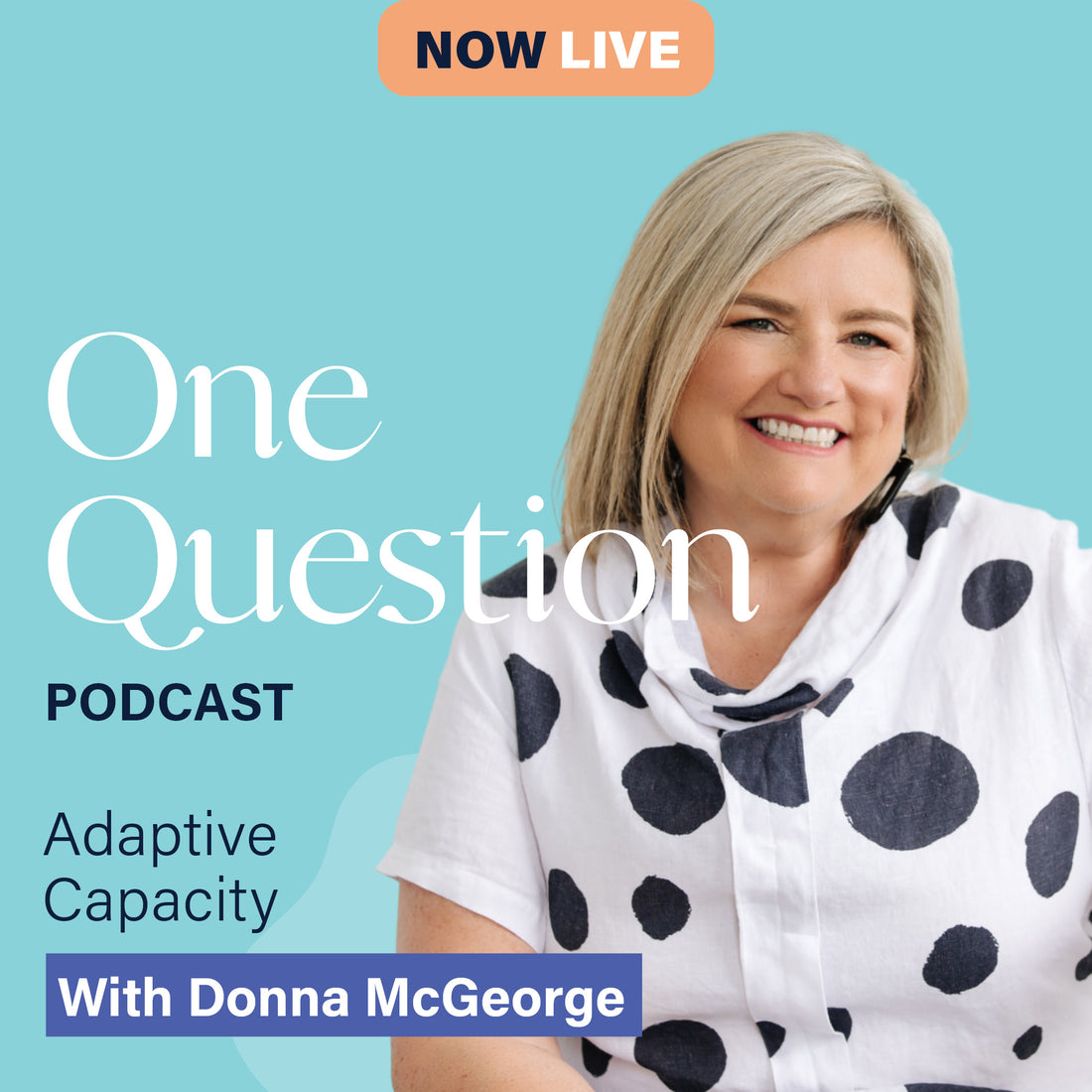 ADAPTIVE CAPACITY with Donna McGeorge